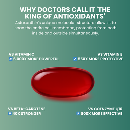 Vitilia™ Astaxanthin Supplement