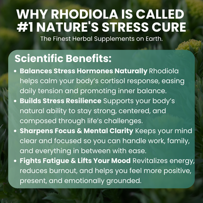 Vitilia™ Rhodiola Rosea