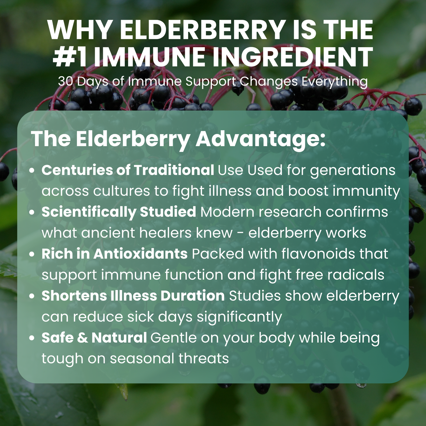 Vitilia™  Elderberry Gummies