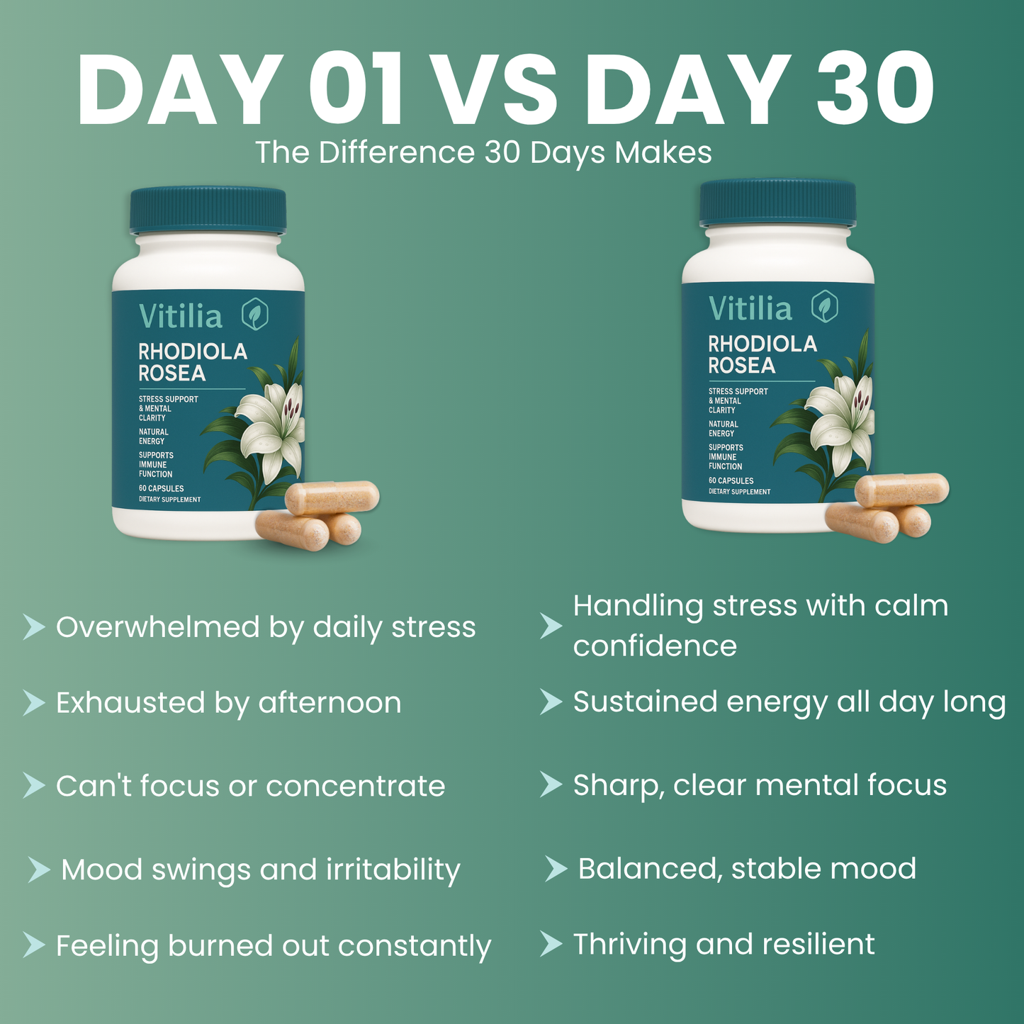 Vitilia™ Rhodiola Rosea