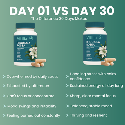 Vitilia™ Rhodiola Rosea