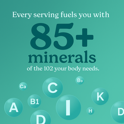 Vitilia™ She-Lajit Honey Sticks